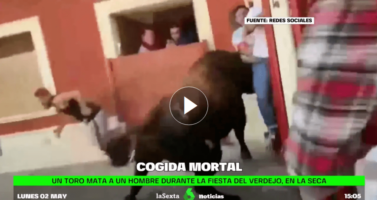 Un toro mata a un hombre durante la fiesta del Verdejo, en La Seca (Valladolid)