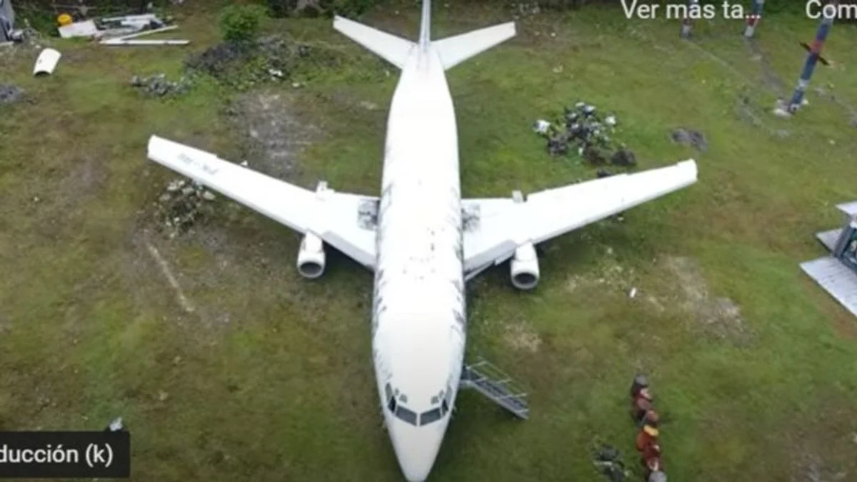 Misterio en Bali: aparece un boeing 737 en medio de un campo y nadie sabe cómo llegó allí